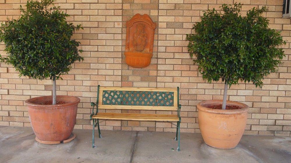 Ningana Motel Mudgee Kültér fotó
