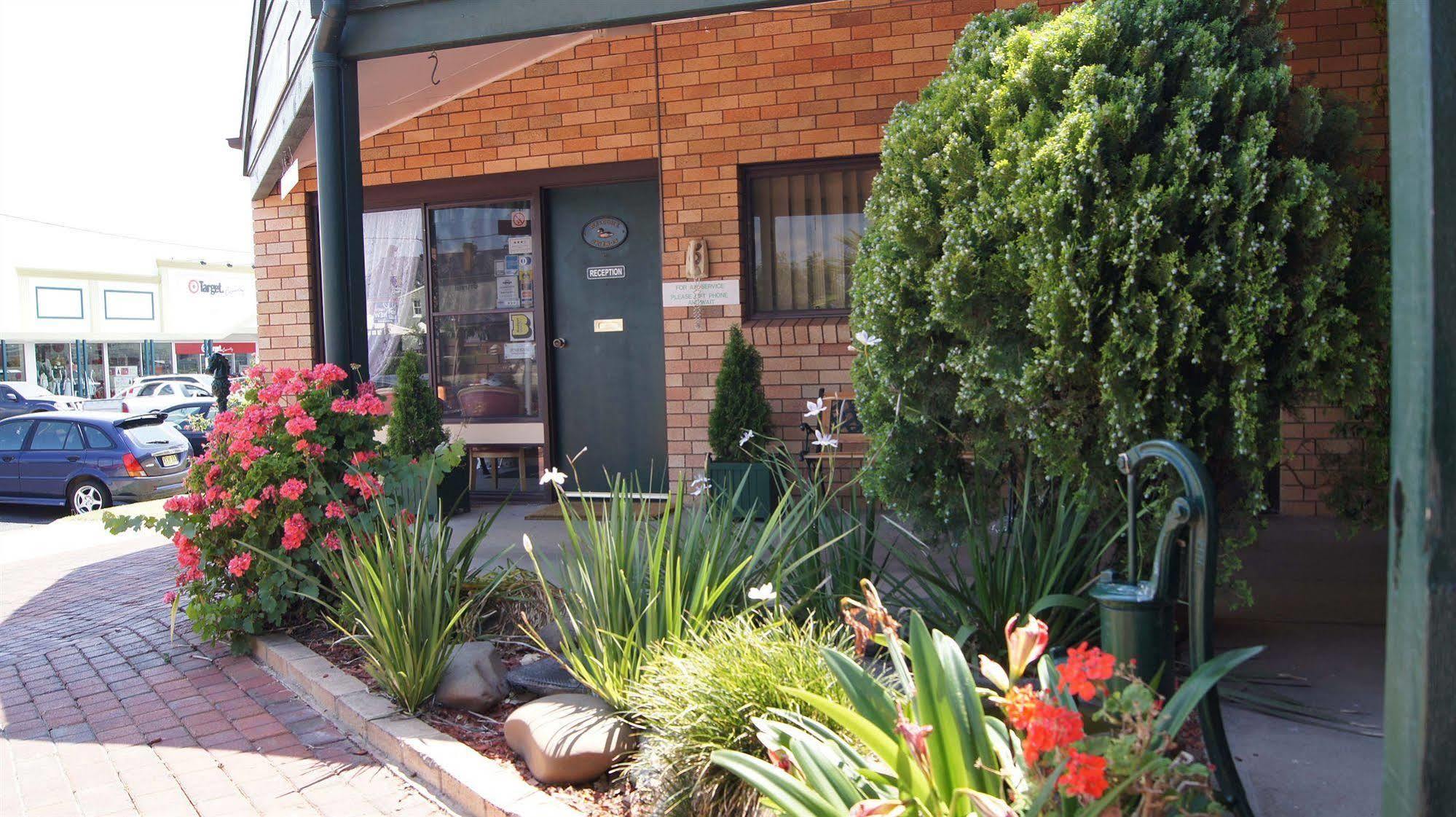 Ningana Motel Mudgee Kültér fotó